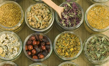 Photo-Services-Botanical